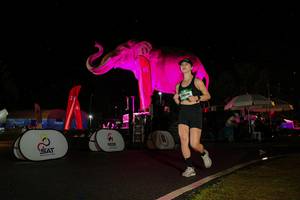 BIB: 
                            <button type="button" onclick="openModal(26543336)" class="btn btn-primary btn-sm float-right btn-popup" data-toggle="modal" data-target=".modal-high-quality">
                        <i class="fas fa-shopping-cart"></i> Add to Cart
                    </button>
                                            <button type="button" onclick="isThisMe(26543336, true)" class="btn btn-success btn-sm float-right btn-popup btn-isme hidden" data-toggle="tooltip" data-placement="bottom" title="นี่คือรูปของคุณใช่ไหม คลิกที่นี่เพื่อเอาเข้าอัลบั้ม">
                        <i class="fas fa-plus"></i> Add to album
                    </button>
                    <button type="button" onclick="isThisMe(26543336, false)" class="btn btn-warning btn-sm float-right btn-popup btn-isnotme hidden">
                        <i class="fas fa-ban"></i> Remove from album
                    </button>